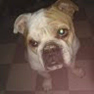 Meet your Posher, Adeline